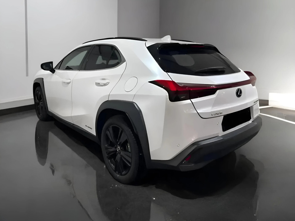 Lexus UX 250h AWD (5)