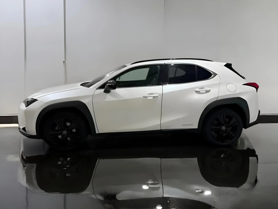 Lexus UX 250h AWD (4)