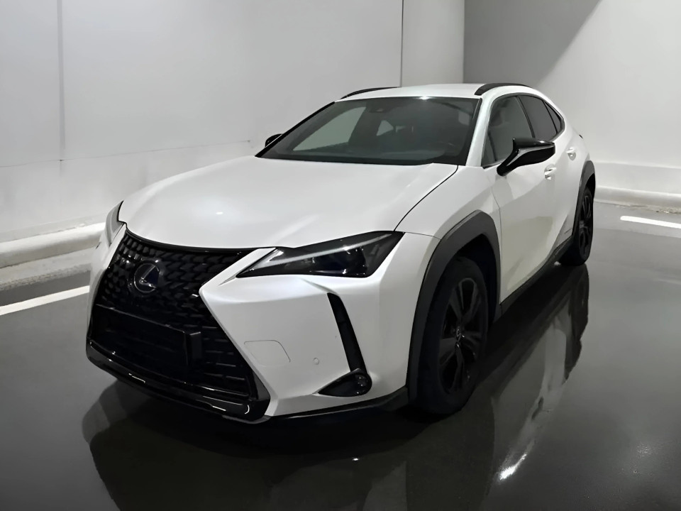 Lexus UX 250h AWD (3)