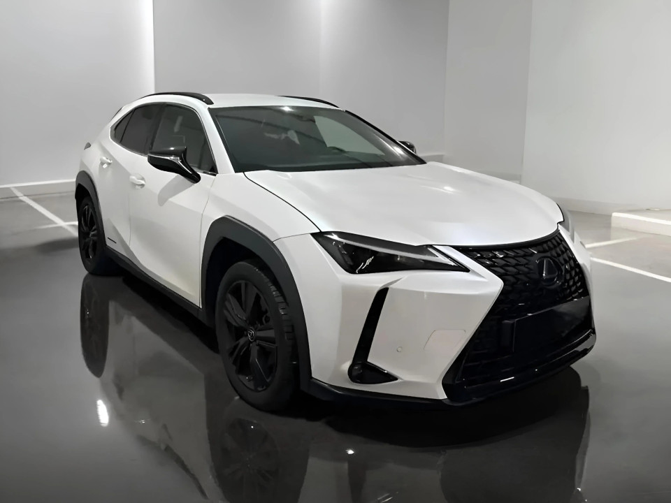 Lexus UX 250h AWD (1)