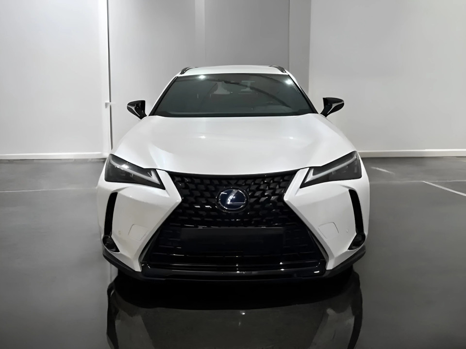 Lexus UX 250h AWD (2)