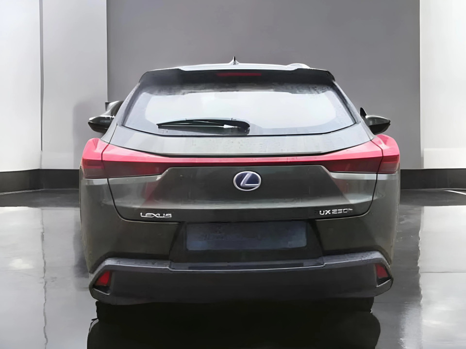 Lexus UX 250h AWD Luxury Line (4)