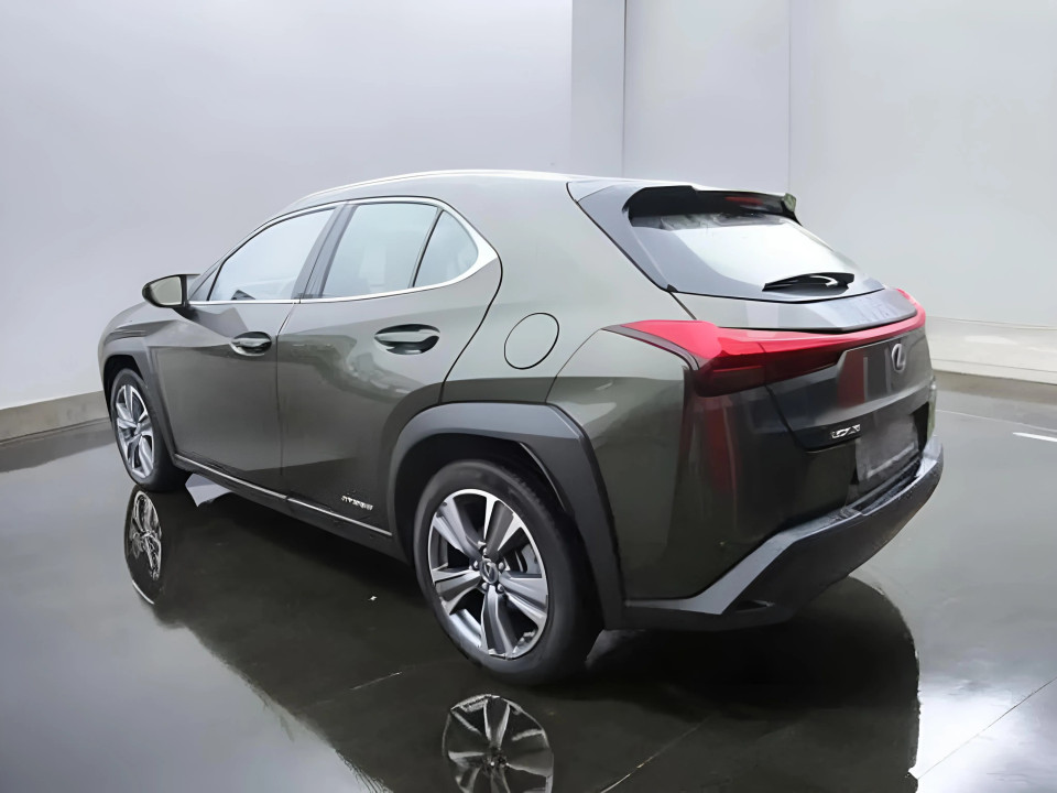 Lexus UX 250h AWD Luxury Line (5)