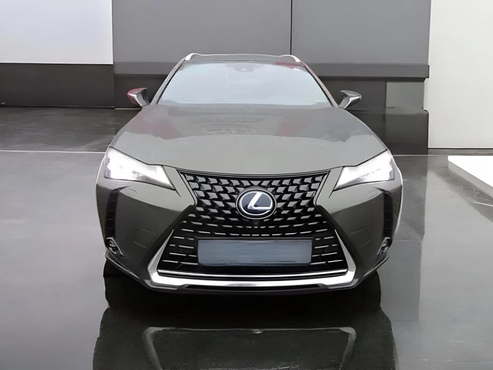 Lexus UX 250h AWD Luxury Line - foto 8