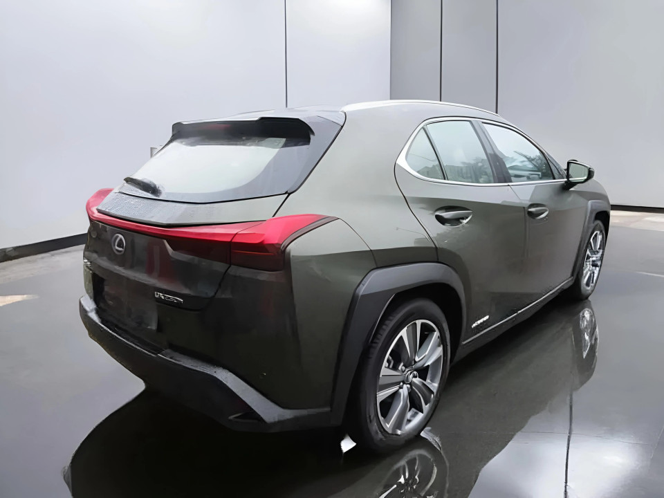 Lexus UX 250h AWD Luxury Line (3)