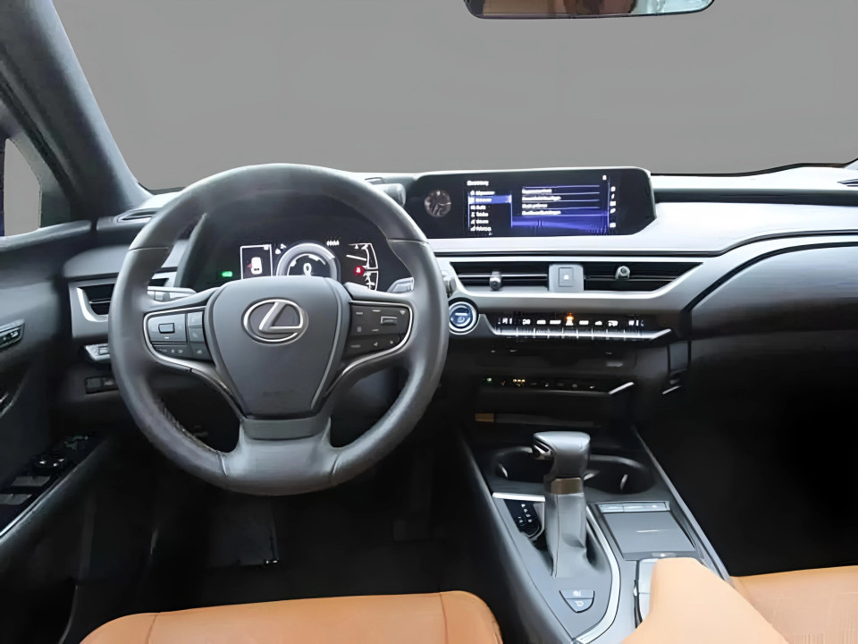 Lexus UX 250h AWD Luxury Line - foto 11