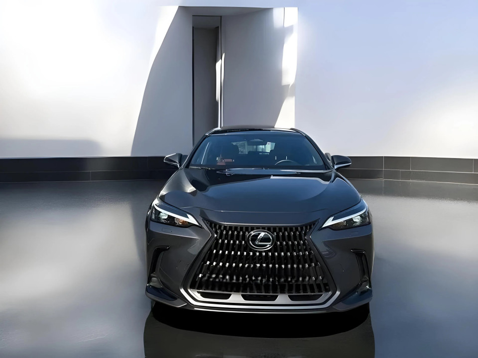 Lexus Seria NX 350h Comfort Line (2)