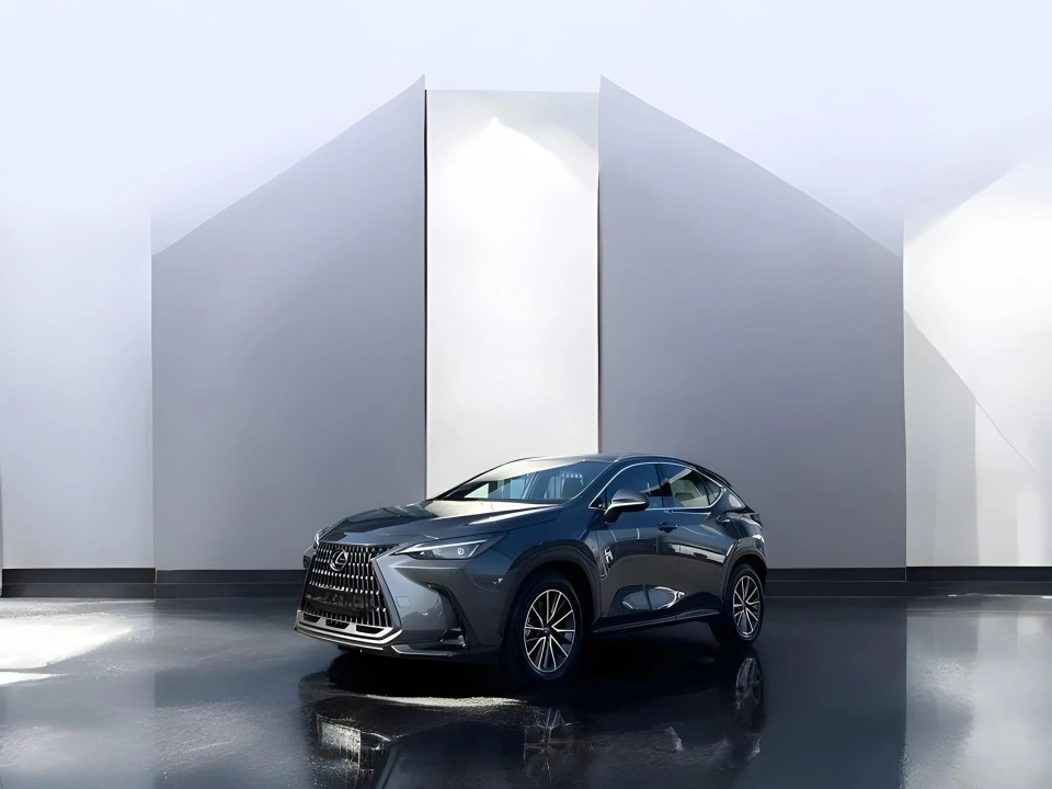 Lexus Seria NX 350h Comfort Line (3)