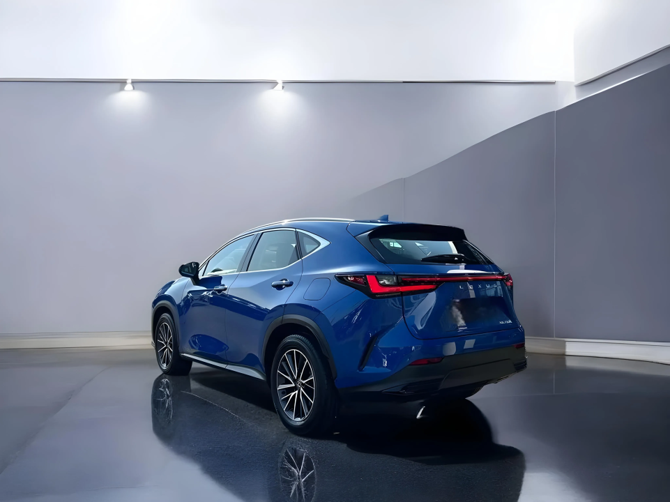 Lexus Seria NX 350h Comfort Line (5)