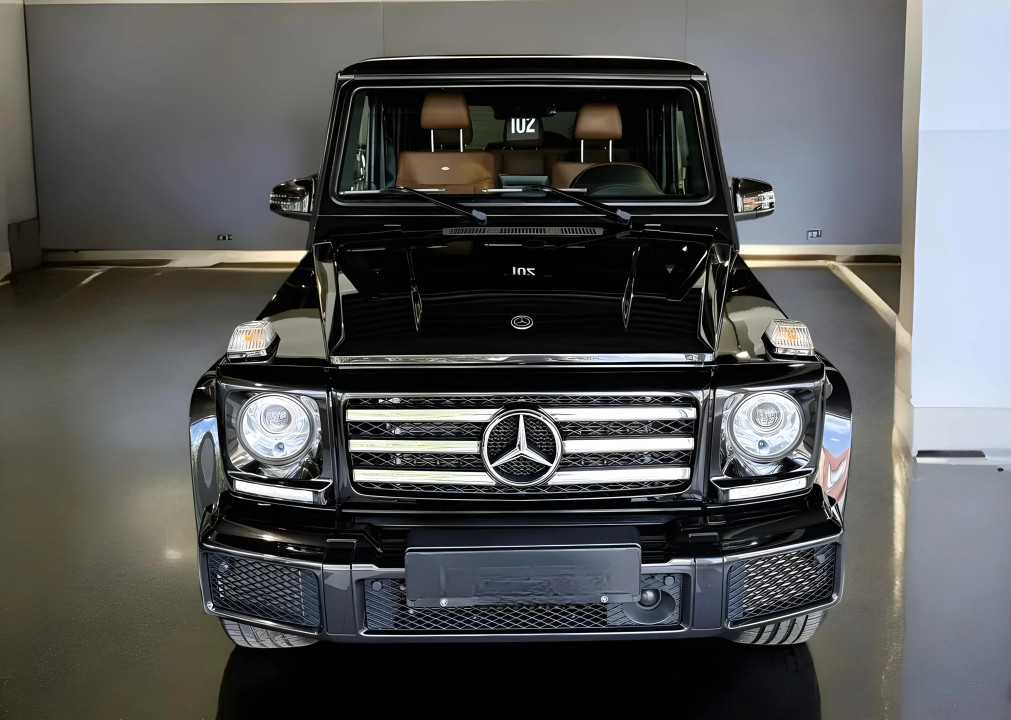 Mercedes-Benz G 350d (2)