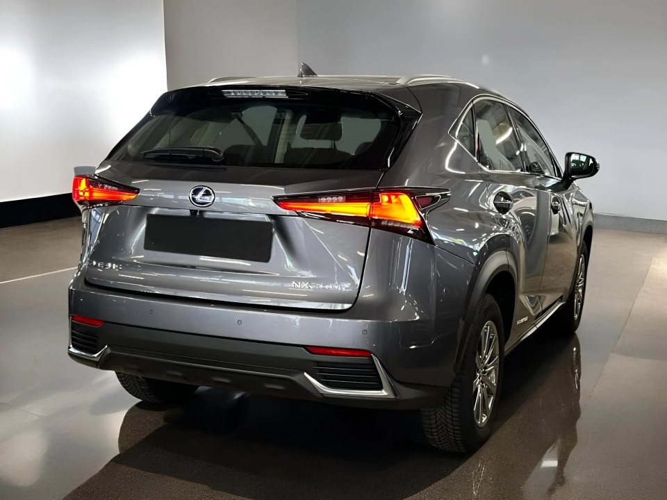 Lexus Seria NX 300h Amazing Edition (2)