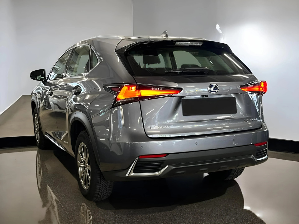 Lexus Seria NX 300h Amazing Edition (4)