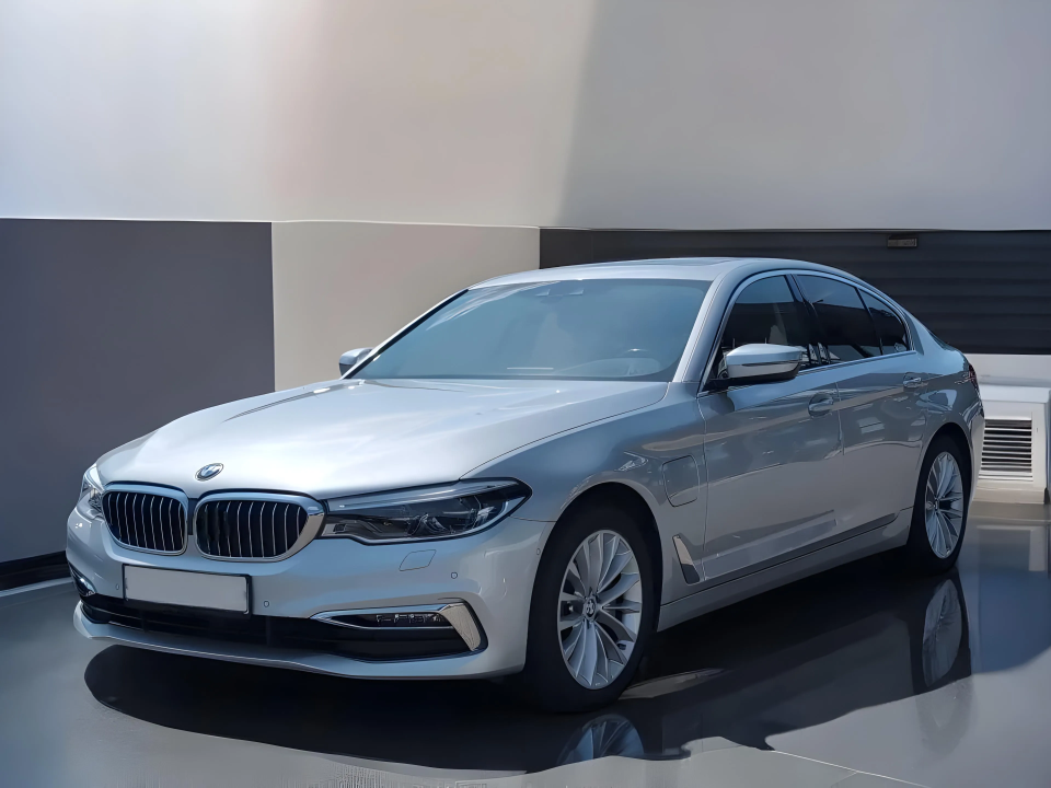 BMW Seria 5 530e Luxury Line (2)