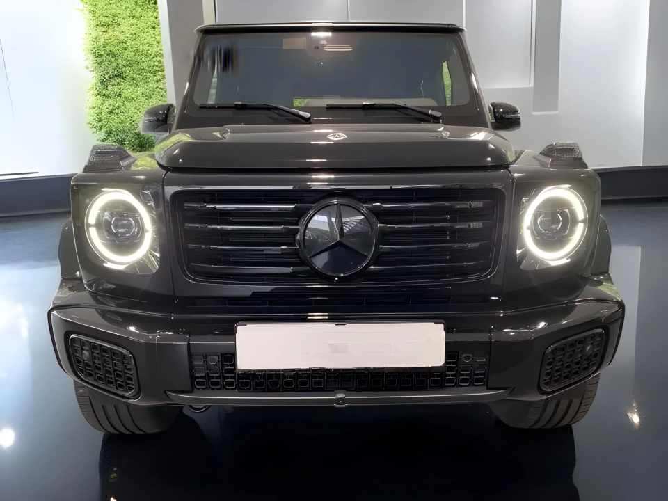 Mercedes-Benz G 450d (2)