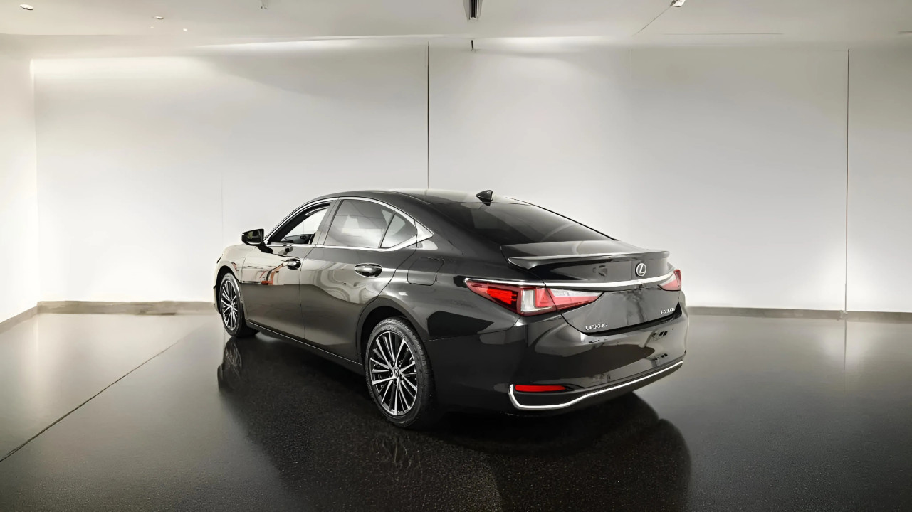 Lexus Seria ES 300h Limited Edition (3)