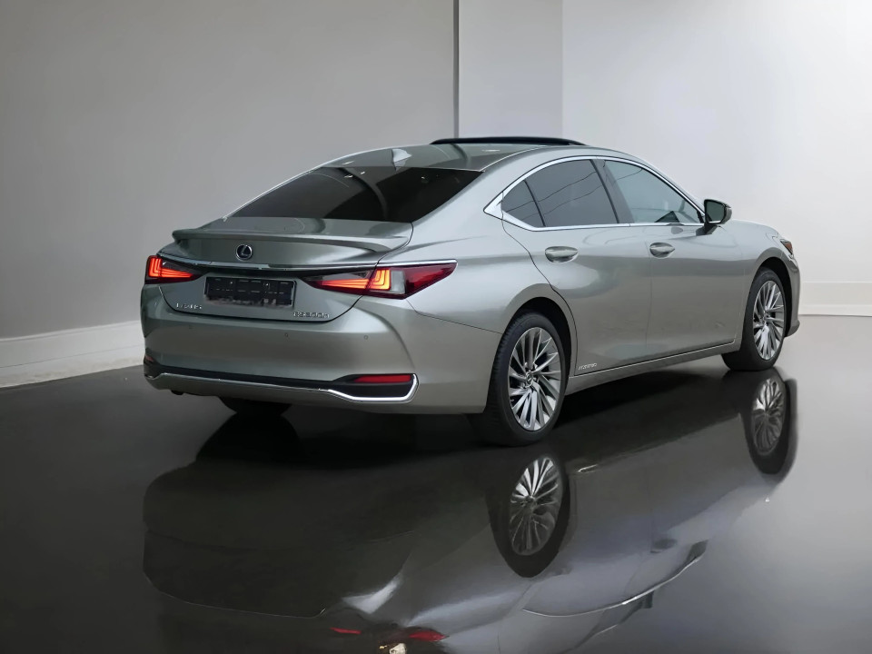 Lexus Seria ES 300 Privilege Line (4)