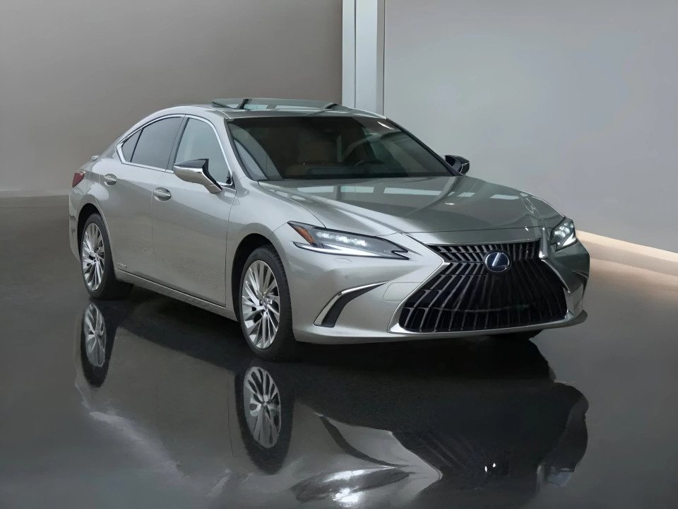 Lexus Seria ES 300 Privilege Line (2)