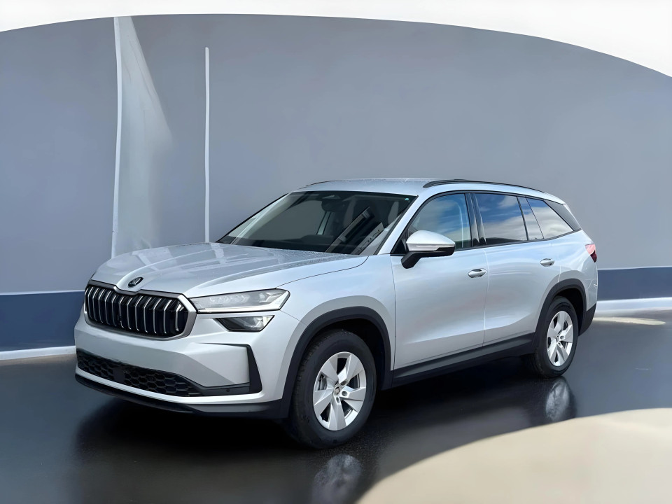 Skoda Kodiaq Selection 4x4 TDI DSG