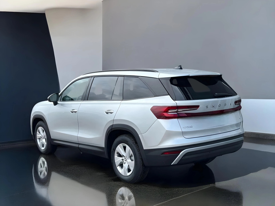 Skoda Kodiaq Selection 4x4 TDI DSG (2)