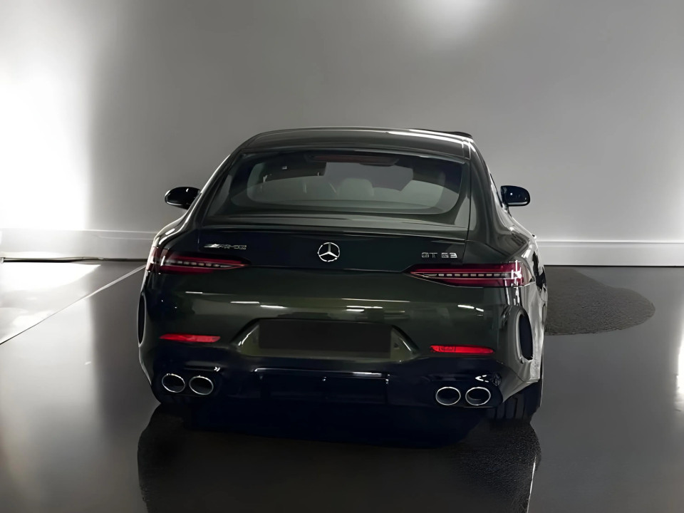 Mercedes-Benz AMG GT 53 4MATIC (3)