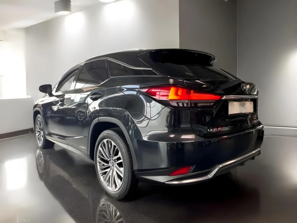 Lexus Seria RX 450h 3.5 Hybrid Luxury Line (4)