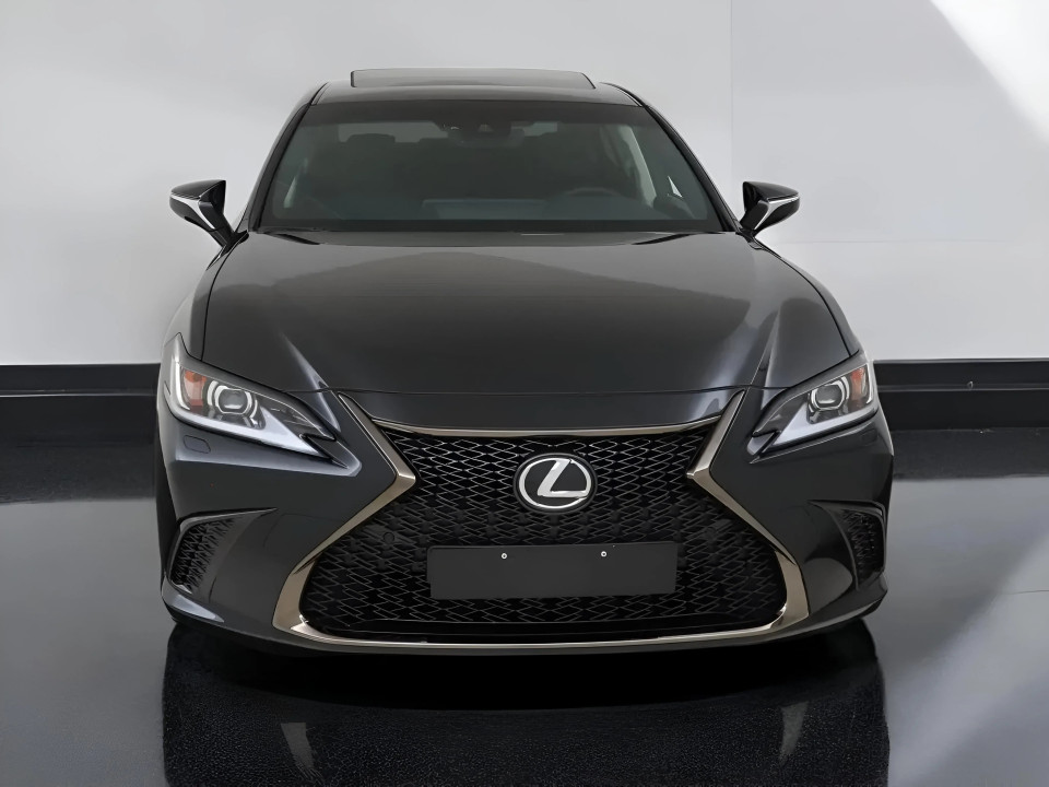 Lexus Seria ES 300h F Sport (2)