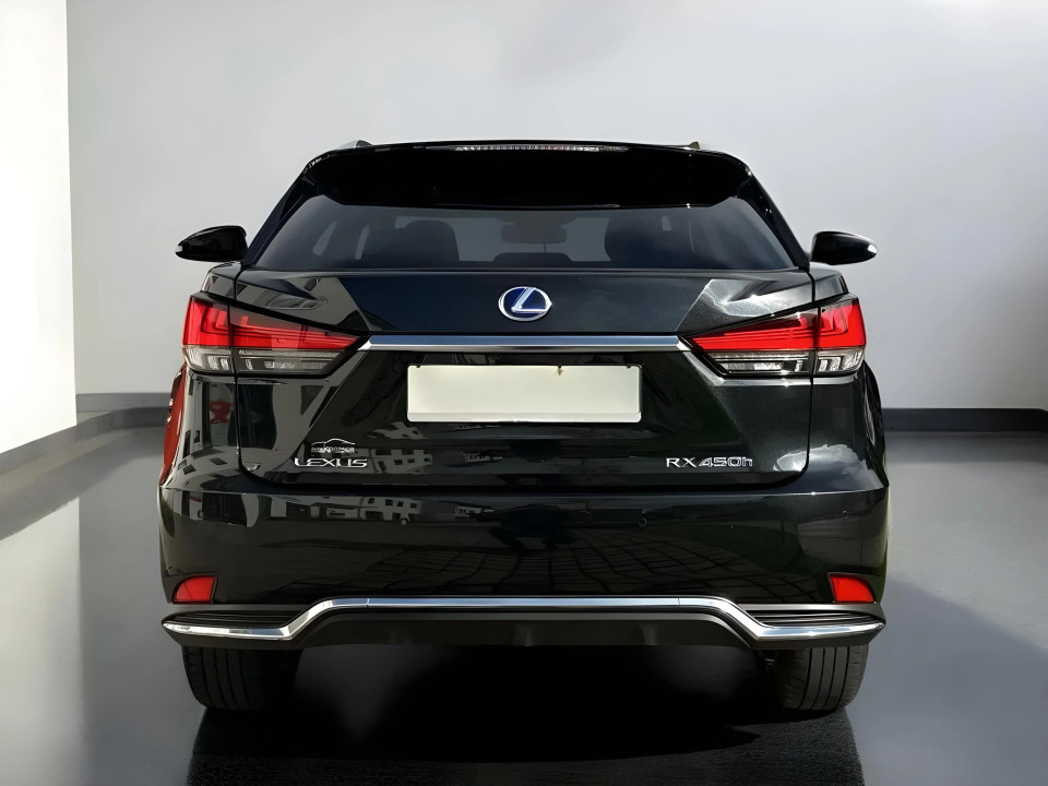 Lexus Seria RX 450h Luxury Line (5)