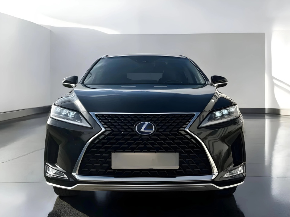 Lexus Seria RX 450h Luxury Line (2)