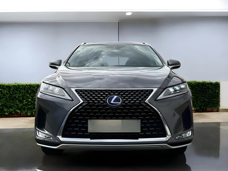 Lexus Seria RX 450h Luxury Line (2)