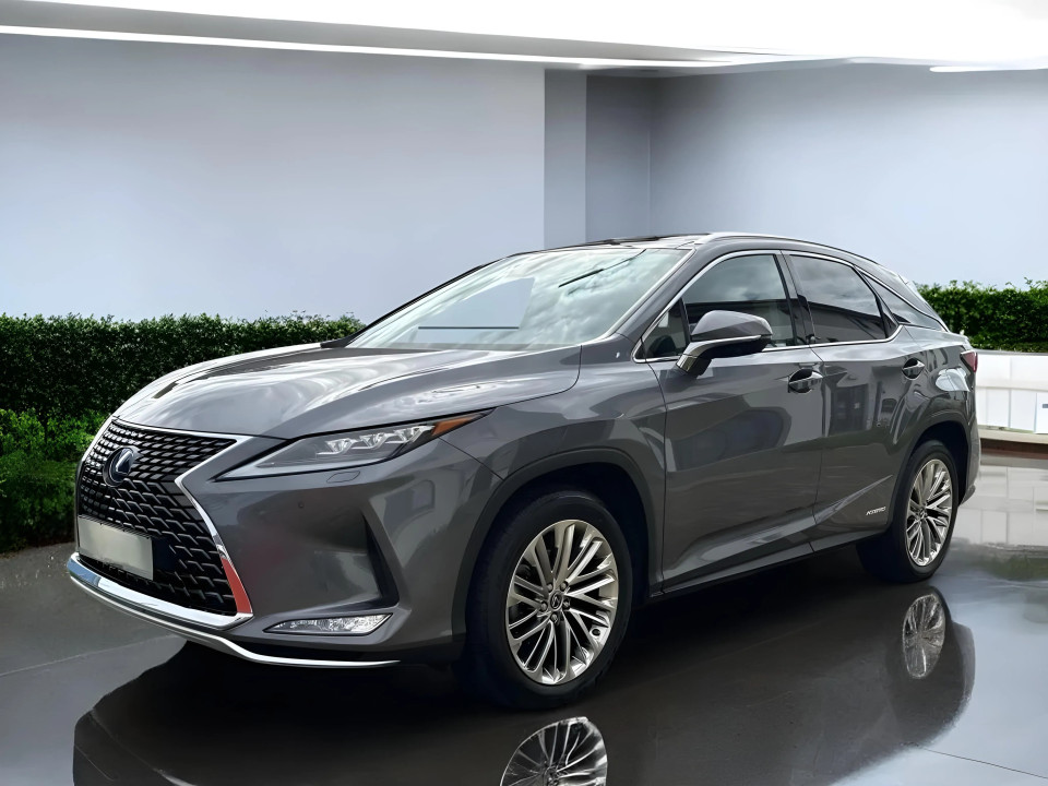 Lexus Seria RX 450h Luxury Line (3)