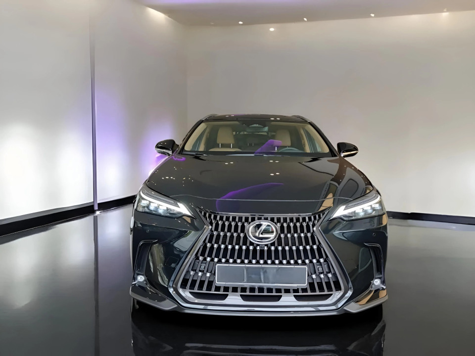 Lexus NX 350h E-FOUR Luxury Line (2)