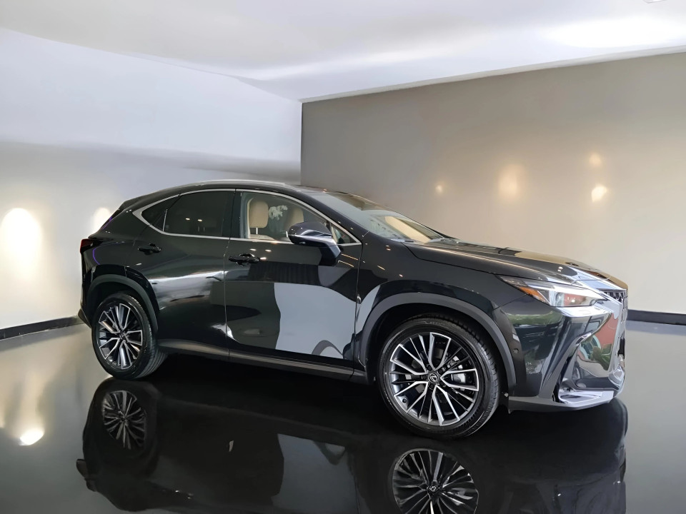 Lexus NX 350h E-FOUR Luxury Line (3)