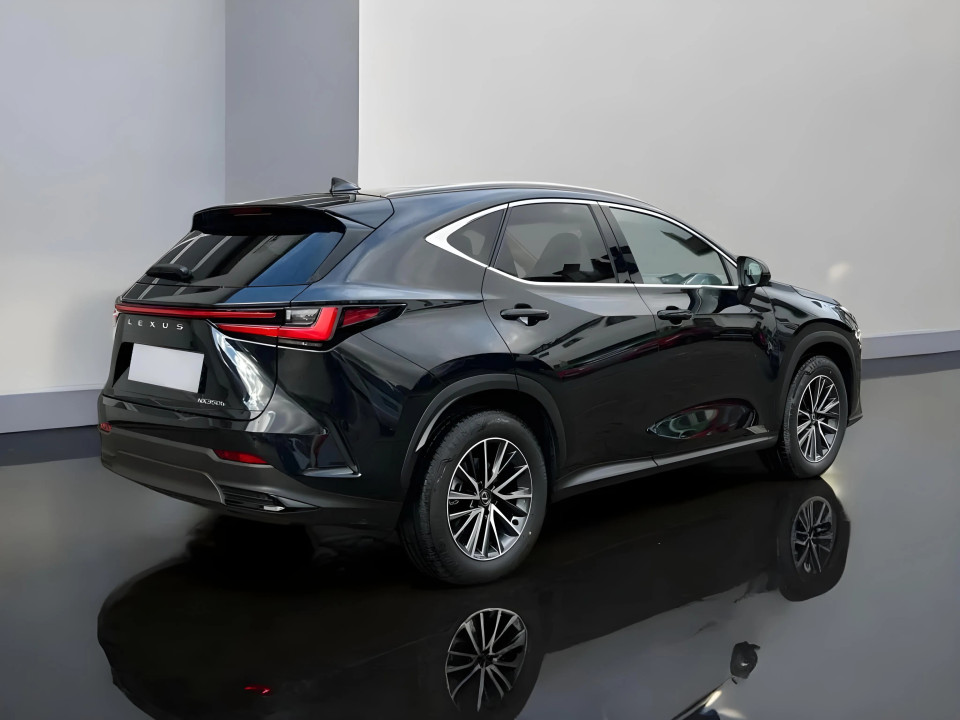 Lexus NX 350h E-FOUR Executive Line (4)