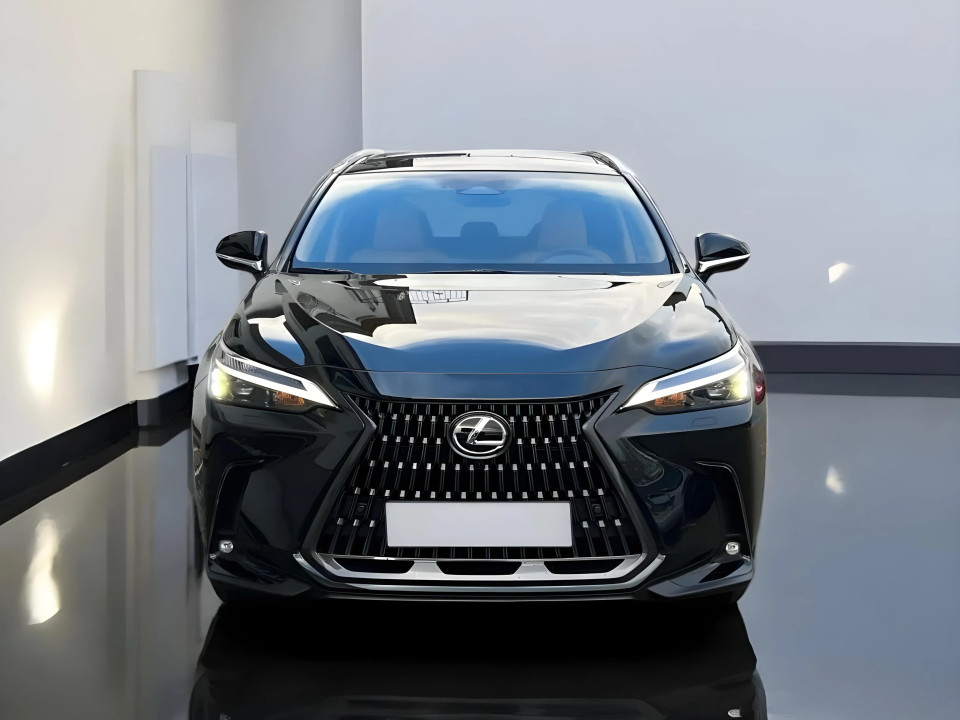 Lexus NX 350h E-FOUR Executive Line (2)