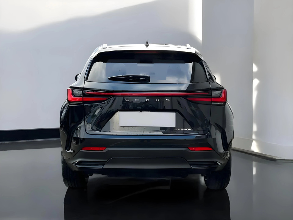 Lexus NX 350h E-FOUR Executive Line (5)