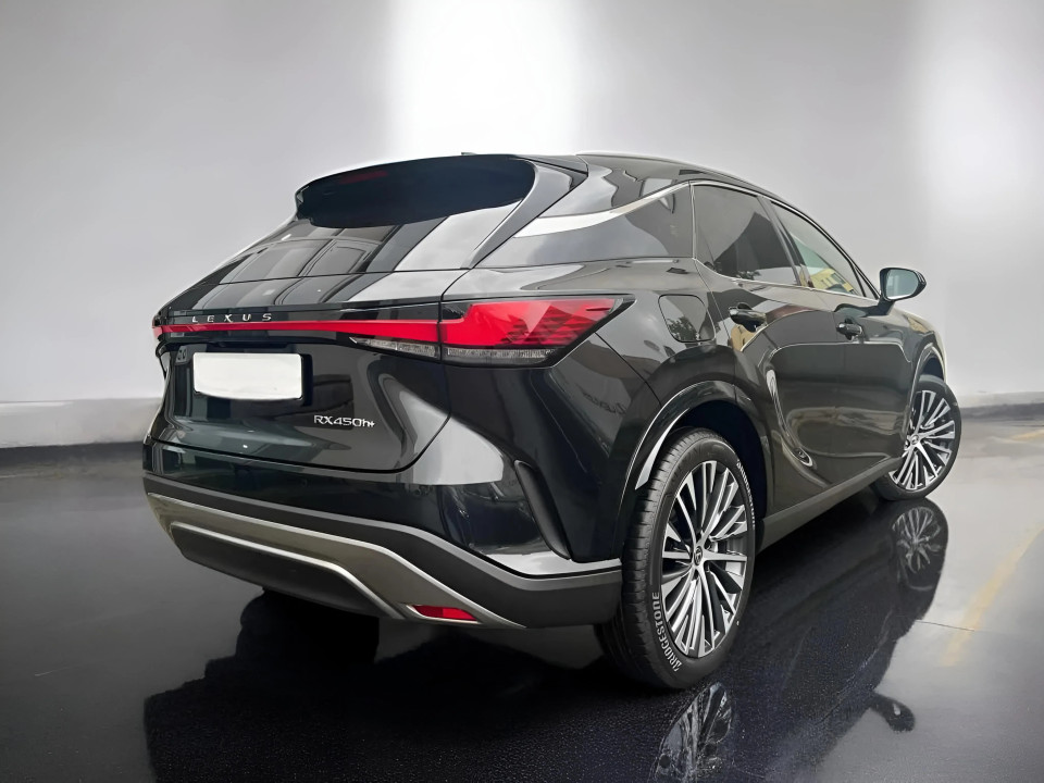 Lexus Seria RX 450h+ Plug-in Hybrid Executive Line (2)