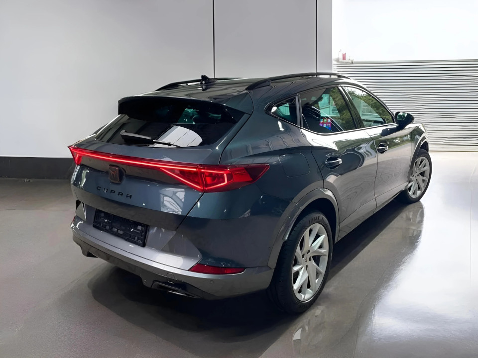 Cupra Formentor 1.5 TSI DSG (4)