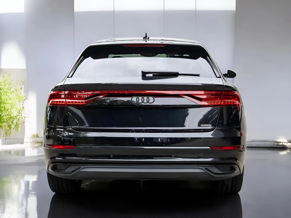 Audi Q8 55 TFSI e Quattro (4)