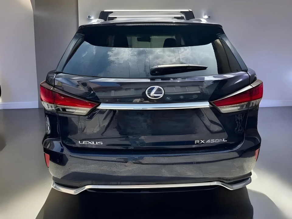 Lexus Seria RX 450h Luxury Line (5)