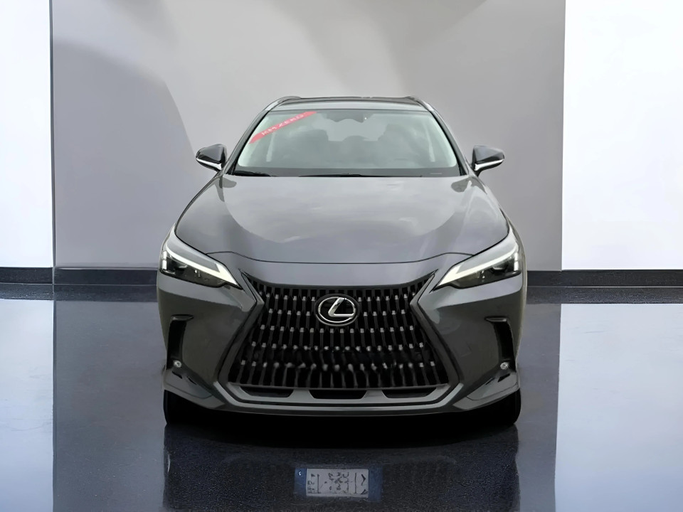 Lexus Seria NX 350h Business Line (2)