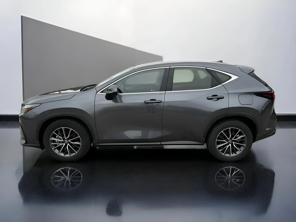 Lexus Seria NX 350h Business Line (4)