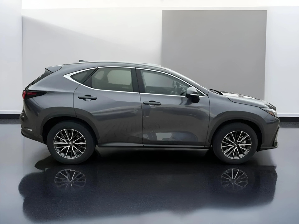 Lexus Seria NX 350h Business Line (3)