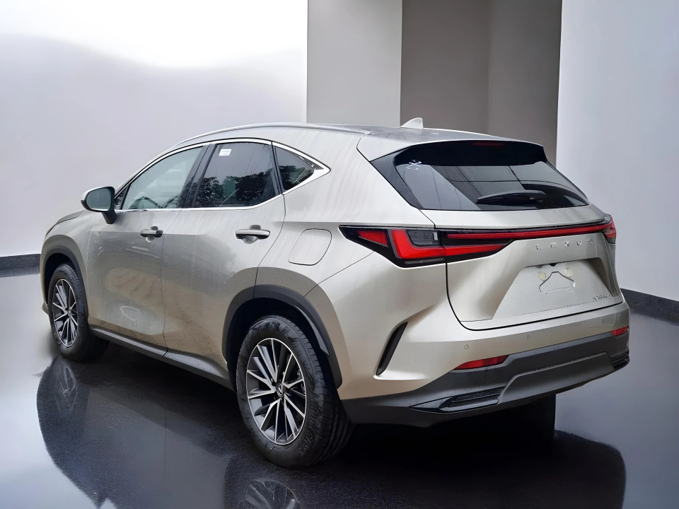 Lexus Seria NX 350h Business Line (3)