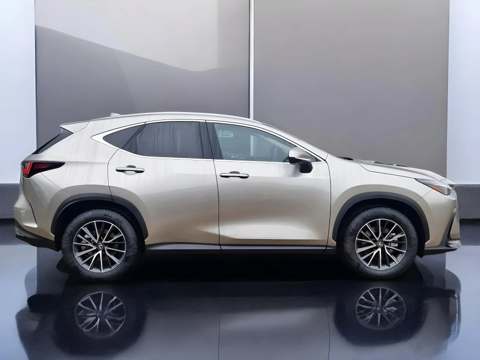 Lexus Seria NX 350h Business Line (2)