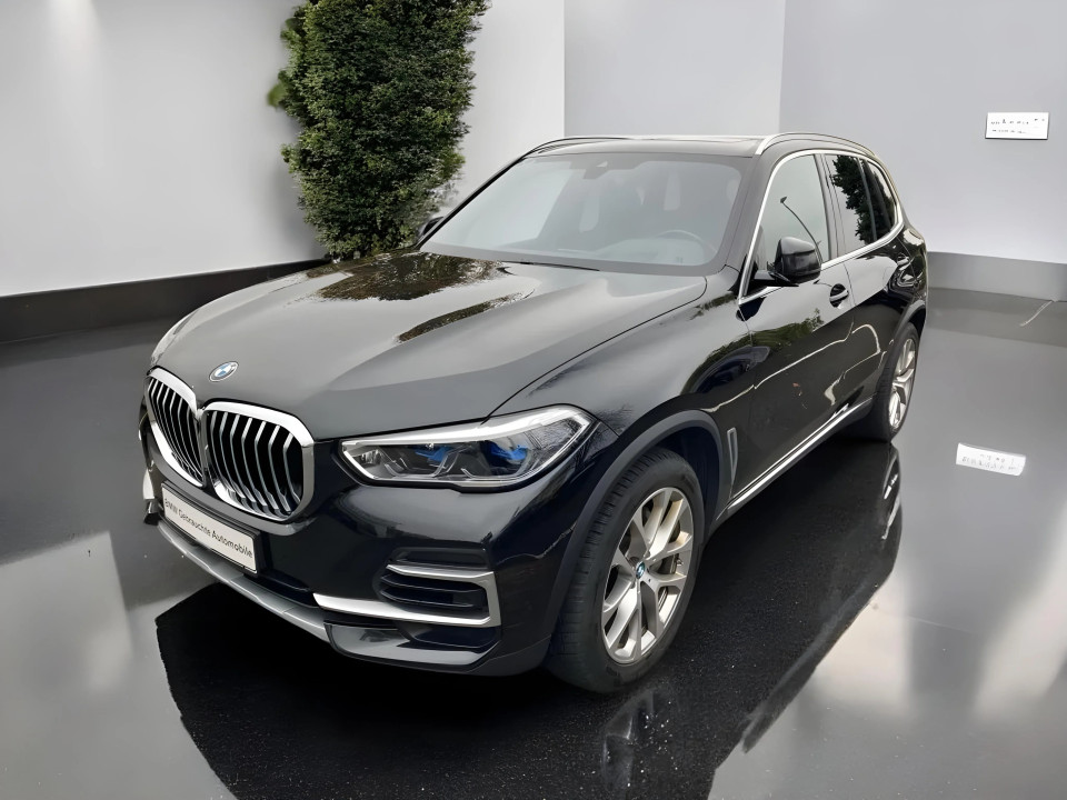 BMW X5 xDrive30d xLine (3)