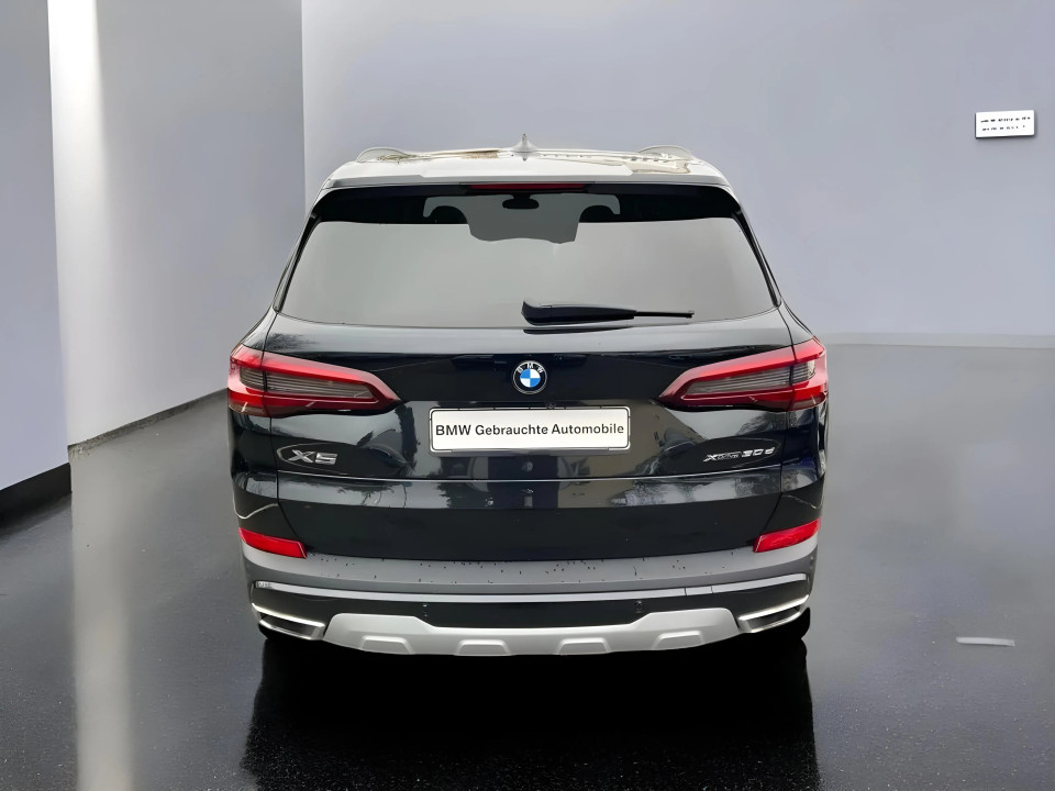 BMW X5 xDrive30d xLine (5)