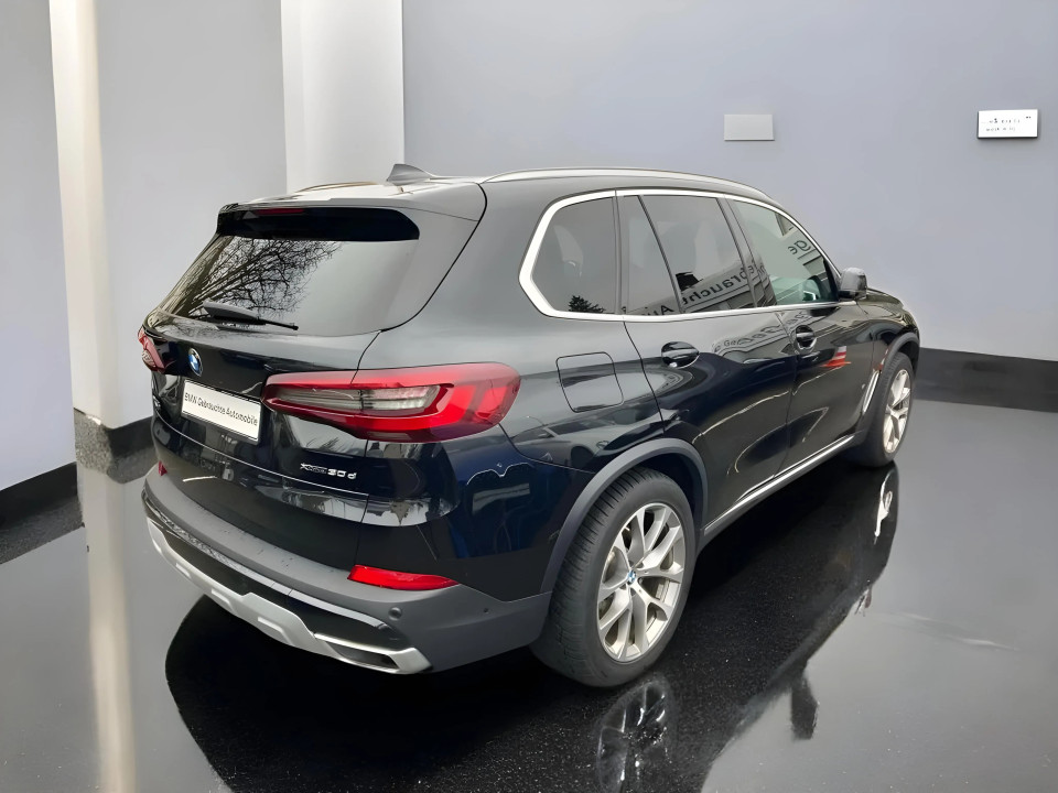 BMW X5 xDrive30d xLine (4)