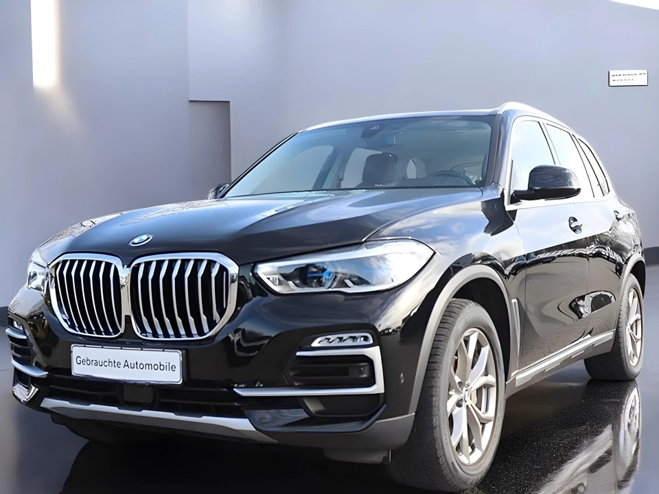 BMW X5 xDrive30d xLine (3)