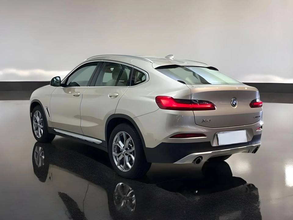 BMW X4 xDrive30i xLine (4)