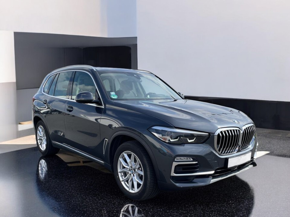 BMW X5 xDrive30d xLine (3)